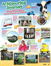 Farm To Table: Poster